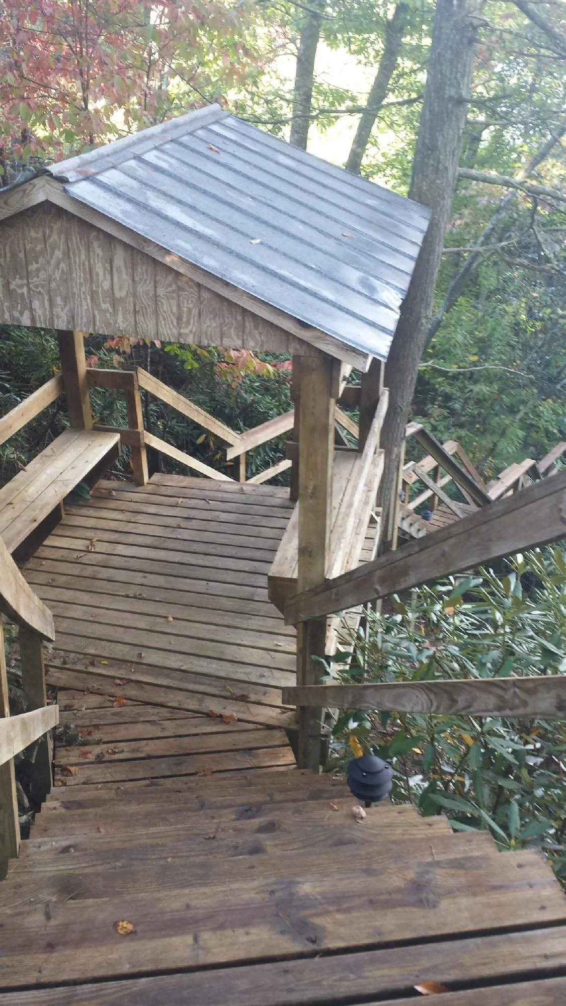 Metal roofed shelter over wooden steps on a wooded walkway — Skylight Repair & Installation work by our crew in Falkville